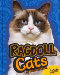 Ragdoll Cats (Edge Books)