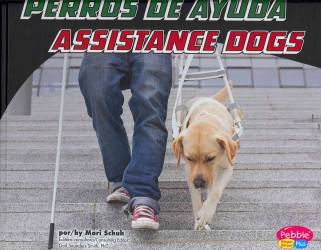 Perros de trabajo/Working Dogs (4-Volume Set) (Pebble Plus Bilingue/bilingual/ Perros De Trabajo:working Dogs) （Bilingual）