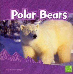 Polar Bears (First Facts)