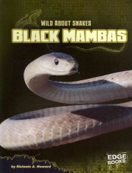 Black Mambas (Wild about Snakes)