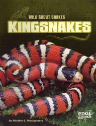 Kingsnakes (Wild about Snakes)
