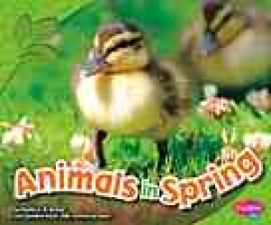 Animals in Spring (Pebble Plus)