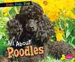 All about Poodles (Pebble Plus)