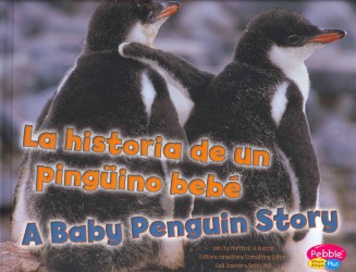La Historia De Un Pinguino Bebe/ a Baby Penguin Story (Pebble Plus Bilingual) （Bilingual）