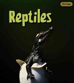 Reptiles/ Reptiles (Crias/ Animal Babies) （TRA REV UP）