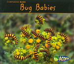 Bug Babies (Comparing Bugs) （1ST）