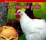 La vida del pollo / a Chicken's Life (Bellota: Mira como crece! / Acorn: Watch It Grow!)