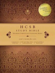 HCSB Study Bible : Teal/Taupe Simulated Leather with Stitching （LEA）