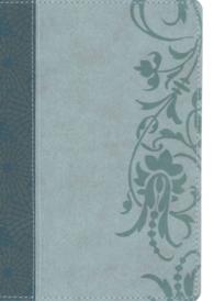 The Study Bible for Women : Holman Christian Standard Bible, Teal and Sage, LeatherTouch, Personal Size Edition （BOX LEA）