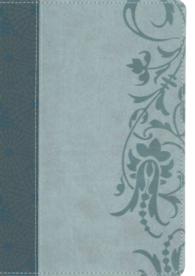 The Study Bible for Women : Holman Christian Standard Bible, Teal and Sage, LeatherTouch （BOX LEA IN）