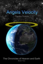 Angels Velocity