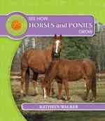 See How Horses and Ponies Grow (See How They Grow) （Library Binding）