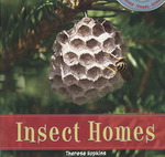 Insect Homes (Home Sweet Home) （Large Print）