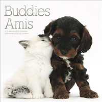 Buddies 2 Amis 020 Calendar （16M WAL BL）