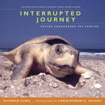 Interrupted Journey : Saving Endangered Sea Turtles （Reprint）