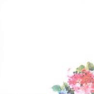 Hydrangeas Desk Notes （BOX NPD）