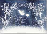 Moonlit Owl Deluxe Boxed Holiday Cards : Christmas Cards, Greeting Cards （BOX GCR）