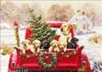 Bringing Home the Tree Holiday Cards （BOX GCR DL）