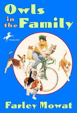 Owls in the Family （Reprint）