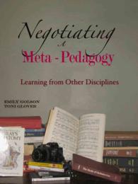 Negotiating a Meta-Pedagogy : Learning from Other Disciplines