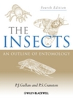 昆虫学概論（第４版）<br>The Insects : An Outline of Entomology （4TH）