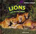 Lions : Life in the Pride (Animal Families) （Library Binding）