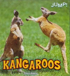 Kangaroos (Jump!) （Library Binding）