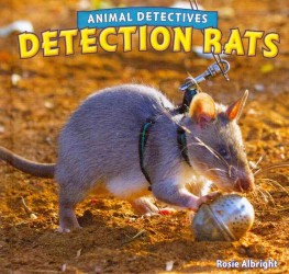 Detection Rats (Animal Detectives) （Library Binding）