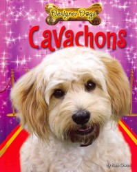 Cavachons (Designer Dogs) （Library Binding）