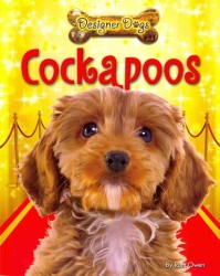 Cockapoos (Designer Dogs)