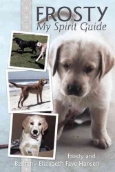 Frosty My Spirit Guide : How Changing Our Perceptions of Death Can Bring Us More Love, Joy, Happiness and Life!
