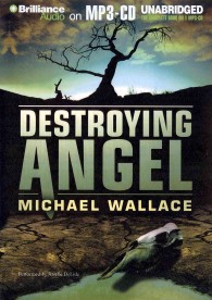 Destroying Angel (Righteous) （MP3 UNA）