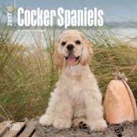 Cocker Spaniels 2017 Calendar （MIN WAL）