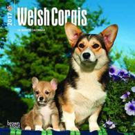 Welsh Corgis 2017 Calendar （MIN）