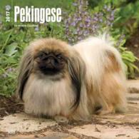 Pekingese 2017 Calendar （WAL MUL）