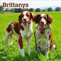 Brittanys 2019 Calendar （16M WAL MU）
