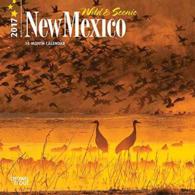 New Mexico, Wild & Scenic 2017 Calendar （MIN WAL）