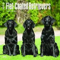 Flat-Coated Retrievers 2017 Calendar （WAL）