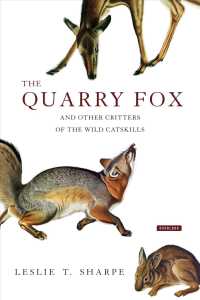 The Quarry Fox : And Other Critters of the Wild Catskills