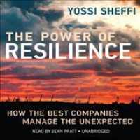 The Power of Resilience : How the Best Companies Manage the Unexpected