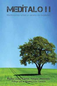 Medtalo : II Meditaciones Sobre Un Servicio De Excelencia