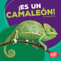 Es un camalen! / It's a Chameleon! (Bumba Books en espaol: Animales de la selva tropical / Rain Forest Animals)