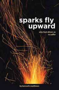 Sparks Fly Upward : Why God Allows Us to Suffer