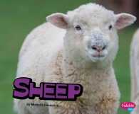 Sheep (Pebble Plus)
