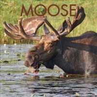Moose 2019 Calendar （16M WAL）