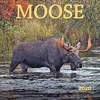 Moose 2020 Calendar （16M WAL）