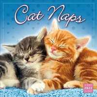 Cat Naps 2022 16-Month Calendar （16M WAL）