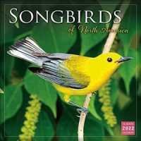 Songbirds of North America 2022 16 Month Calendar （16M WAL）