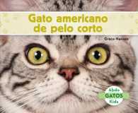 Gato americano de pelo corto/ American Shorthair Cats (Gatos/ Cats)