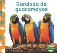 Grupos de animales / Groups of animals (6-Volume Set) (Grupos De Animales)